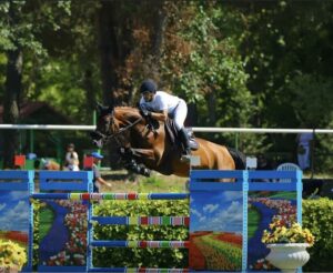 cavallo da salto ostacoli idoneo per categoria di primo grado